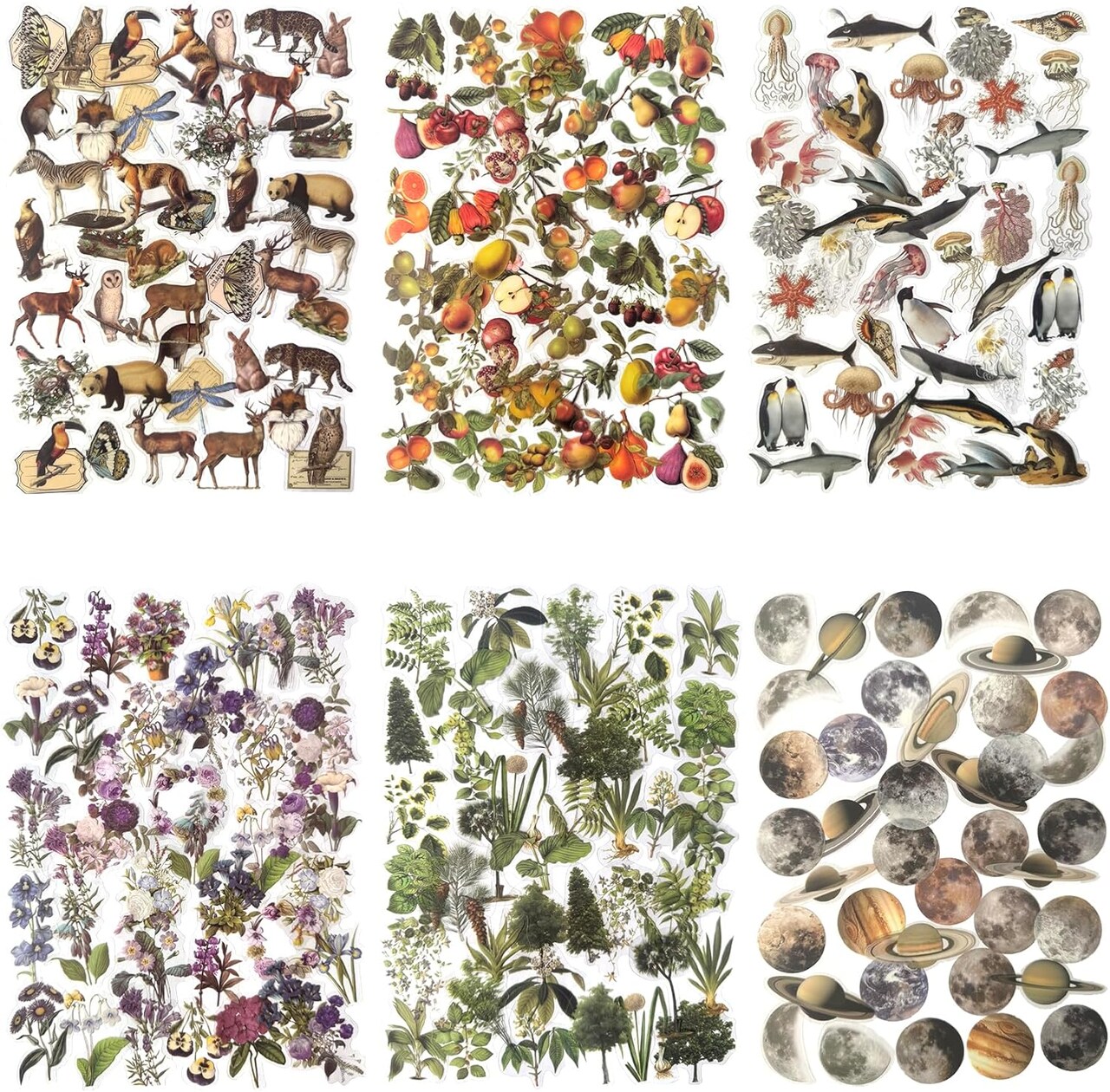 240PCS Waterproof Flowers Leaves Stickers for Scrapbook (Clear) 4.3 x 3.6 x 0.8 inches